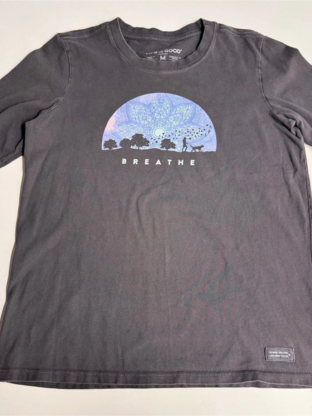 Life is Good Crusher Long Sleeve Graphic Tee in Gray Medium